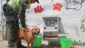 Cerca de 20 perros se beneficiaron con la instalación de este comedor público en la Central de Abastos de Cúcuta. Policía Nacional