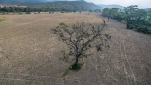 Con esta decisión, los alcaldes podrán recibir ayuda de los Gobiernos nacional y regional. Archivo