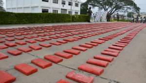Más de dos toneladas de marihuana cripy fueron incautadas iniciando marzo. Archivo