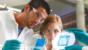 El proceso de selección identifica las 12 mejores propuestas. Colprensa