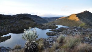El Páramo de Santurbán, así como el parque Tamá surten de agua a los habitantes de ambos países, y el deterioro de los ecosistemas les afectaría severamente. Archivo