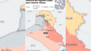 Faluya es uno de los últimos feudos de EI en el oeste de Irak. El grupo extremista sigue controlando partes del oeste y el norte del país, además de Mosul. AFP