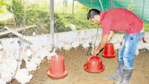 Luis Alfredo Estévez