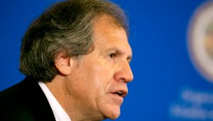 Luis Almagro, secretario general de la OEA, solicitó que la reunión tenga lugar entre el 10 y el 20 de junio. Archivo