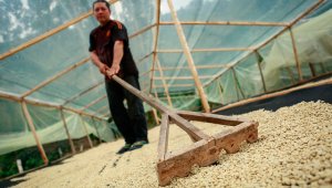 La problemática es tan grave que capacidad de bodegaje ya llegó a su límite. Colprensa