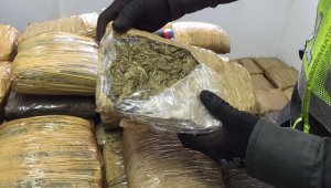 La hierba está valorada en 88 millones de pesos. Cortesía