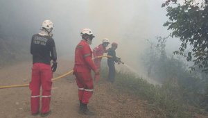 Los bomberos de Pamplona se preparan también para atender emergencias forestales. Cortesía