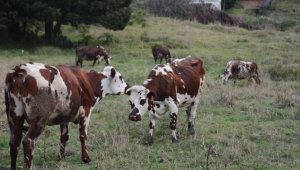 El evento académico se desarrollará el 13 y 14 de octubre. Archivo