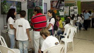 Estudiantes del departamento han creado grupos de investigación en sus instituciones educativas. Dos de ellos representarán  al departamento en una feria nacional. Archivo