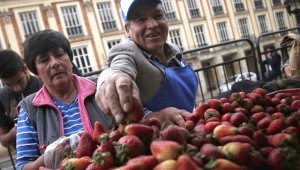 A la iniciativa se unieron diversas poblaciones como agricultores urbanos. Colprensa
