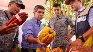 El consejero para el Posconflicto, Rafael Pardo, señaló que los acuerdos se dan con el compromiso de tumbar la coca. Colprensa