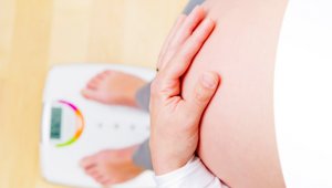 Internet | Referencial