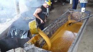 Los pequeños productores de panela representan el 88% de esta actividad en el país. En el departamento se calcula que hay más de 700 trapiches  Archivo