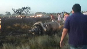 El avión con seis personas a bordo, de las cuales cinco murieron, cayó a tierra el 20 de diciembre cerca de la frontera con Venezuela. Colprensa