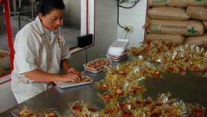 Según un estudio de la Cepal, Colombia se ubica detrás de Ecuador en desigualdad salarial entre hombres y mujeres. Colprensa