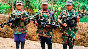 En marzo de 2016, las Farc se comprometieron en La Habana a entregar a todos los menores de 15 años que estuvieran en sus filas. Sin embargo, a la fecha solo han regresado 13. Archivo