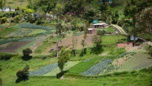 La Guajira y Putumayo son los departamentos con menor índice de predios registrados. Archivo