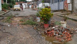 En el barrio minuto de Dios decidieron hacer un jardín en medio de una deteriorada calle. Mario Franco