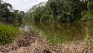 Sin respaldo político y con la asesoría de una oenegé, los promotores de la iniciativa esperan que sea el pueblo el que se pronuncie y tenga la última palabra sobre el agua y el medio ambiente. Archivo