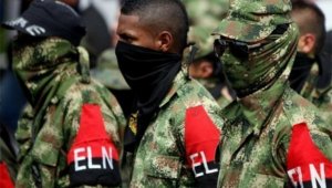 El secuestro se dio el 5 de noviembre de 2016, mientras el ciudadano ruso al parecer recolectaba ranas venenosas. Archivo