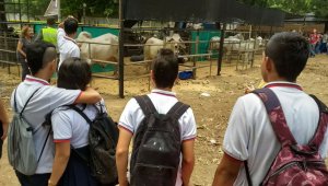 Ayer tras abrirse las puertas de la feria, los primeros visitantes fueron los estudiantes del colegio anfitrión Inem. Mario Caicedo