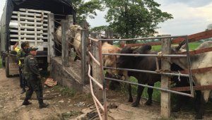 Desde el pasado sábado 15 de julio se prendieron las alarmas en el departamento. Archivo La Opinión