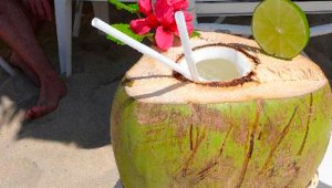 Internet | Referencial