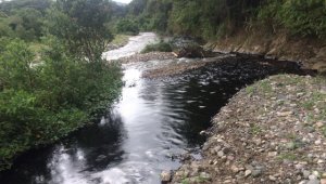 El hecho también fue rechazado por el presidente de la República, Juan Manuel Santos. Twitter