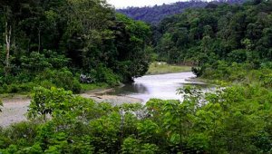 Katherine Soto Ospina, estudiante de Ciencias Naturales, y su pareja, Rolando Quintero Ramírez, atravesaban el puente sobre el río Dagua, cuando fueron atacados. Colprensa
