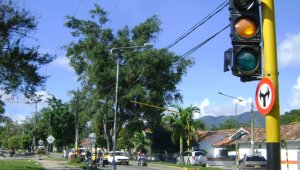 "Cúcuta es de las pocas ciudades del mundo que aún en la que tenemos rutas de transporte público en todas las avenidas céntricas de la ciudad", señaló Jorge Bitar, arquitecto con maestría en gestión urbana. Archivo