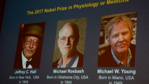 El Premio Nobel tiene este año una dotación económica de 9 millones de coronas suecas (940.000 euros, 1,1 millón de dólares). AFP