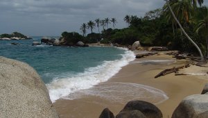 La entidad denunciará ante la autoridad competente para que se adopten medidas frente al tema. Colprensa