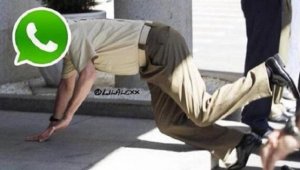 Los usuarios reportaron las fallas en las diferentes redes sociales Twitter @Cely_Fraga