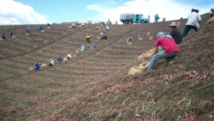 Con este proyecto se espera abrir la comercialización del producto y llegar a más ciudades del país como Bucaramanga. Archivo
