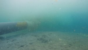 La Armada Nacional, en uno de sus estudios, señaló que 80 % de los desperdicios que arrastra el mar son arrojados desde la orilla, mientras que otro 20 % proviene de embarcaciones. Colprensa