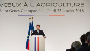 Archivo de La Opinión