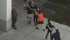 La acción de Nikolas Cruz, de 19 años, dejó 17 muertos en la escuela Marjory Stoneman Douglas en Parkland. AFP