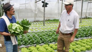 Campesino muestra su cultivo. Archivo