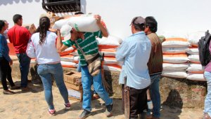 Las entregas a los campesinos se hicieron para mejorar la producción de diferentes cultivos. Cortesía