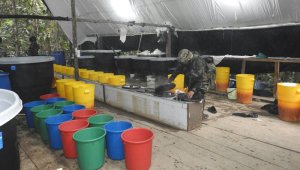 Este complejo cocalero estaba avaluado en cerca de 2 mil millones de pesos, informó el Ejército. Ejército Nacional