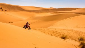 La investigación sobre el crecimiento del desierto fue publicada en la edición digital de Journal of Climate. Colprensa