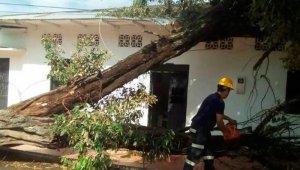 Unidades del Cuerpo de Bomberos Voluntarios, Defensa Civil y Cruz Roja, ayudaron a adelantar el censo de afectados, al igual que mover los árboles caídos. Colprensa