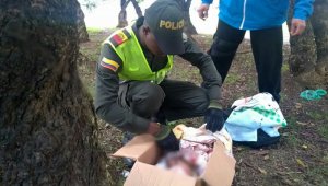 Dos auxiliares de la Policía Metropolitana de Bogotá fueron los salvadores de la bebé. Policía Nacional