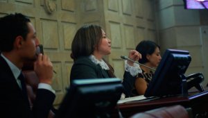 Juanita Rodríguez, ministra encargada del Mintic, se pronunció por parte del gobierno. Colprensa