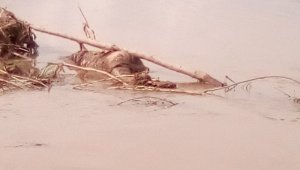 Las autoridades colombianas no habían practicado la diligencia de levantamiento del cadáver por encontrarse del otro lado de la frontera. Archivo La Opinión