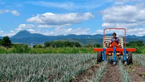 La innovación, las nuevas tecnologías y la agricultura sostenible son algunos desafíos trazados para garantizar la seguridad alimentaria. AFP