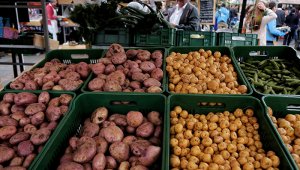 Es la más baja registrada en este periodo en los últimos 15 años. Colprensa