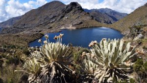 El evento tendrá lugar en el teatro Jáuregui. Archivo La Opinión