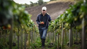 Se podrá llegar al 74 % de los pequeños productores del país. Colprensa