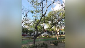 También conocido como parque Colón. La Opinión